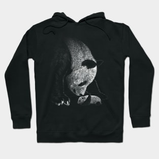 A MOTHER'S AFFECTION Hoodie